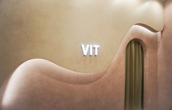 ありがとうございました ― VIT ―